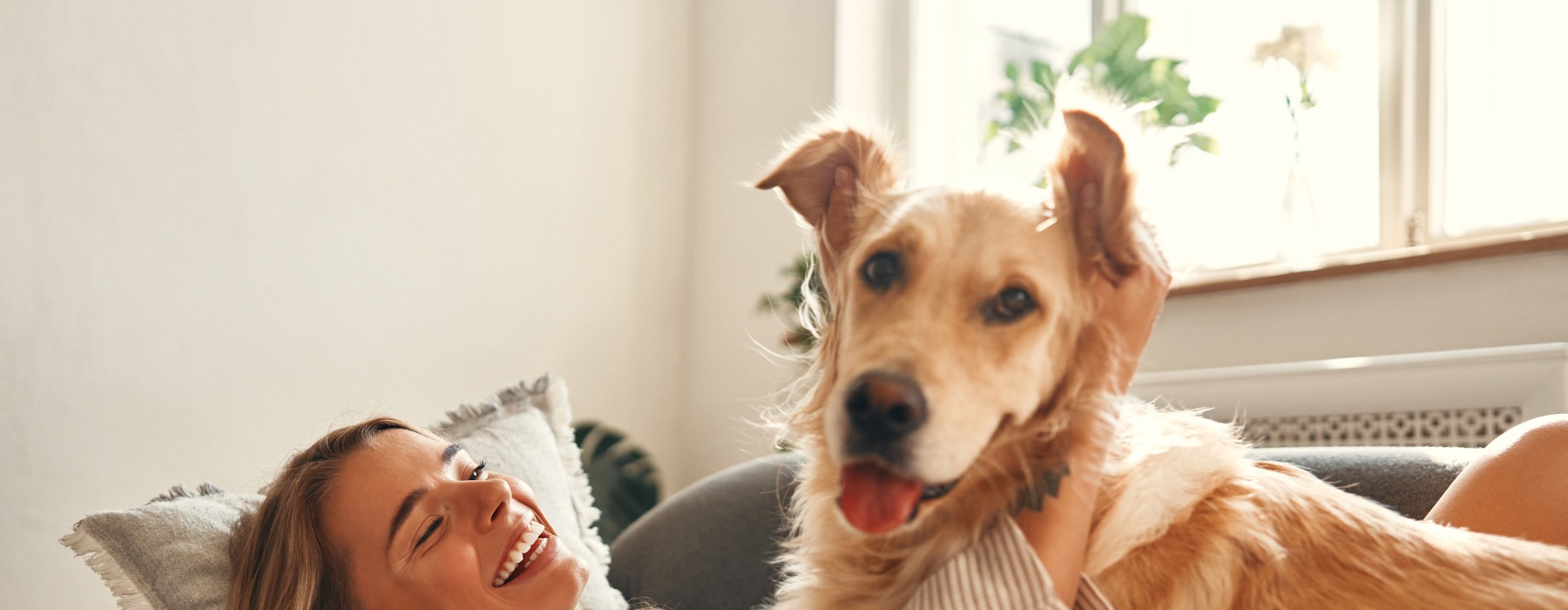 Pet Friendly